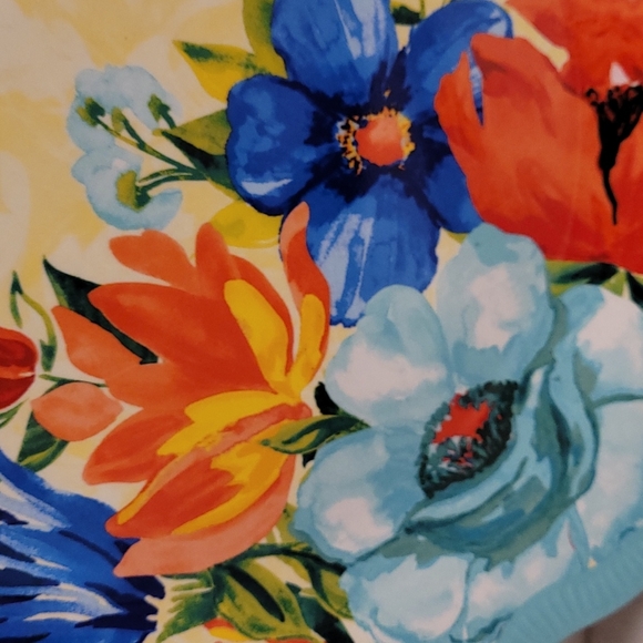 NWT Set of 4 Pioneer Woman Melamine, Delaney Plates - Picture 9 of 14